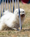 20160618-cckc-2118
