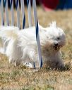 20160618-cckc-2119