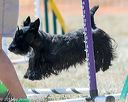 20160618-cckc-2125