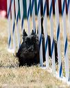 20160618-cckc-2127