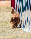 20160618-cckc-2139