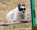 20160618-cckc-2003