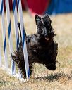 20160618-cckc-2032