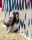 20160618-cckc-2037