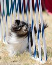 20160618-cckc-2039