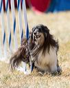 20160618-cckc-2044