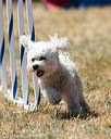 20160618-cckc-2082