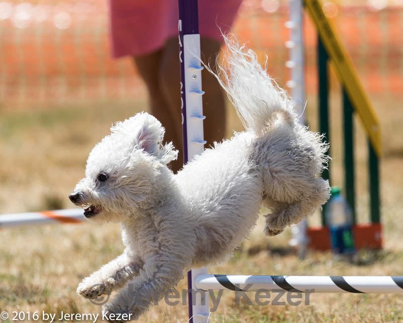 20160618-cckc-1963.jpg