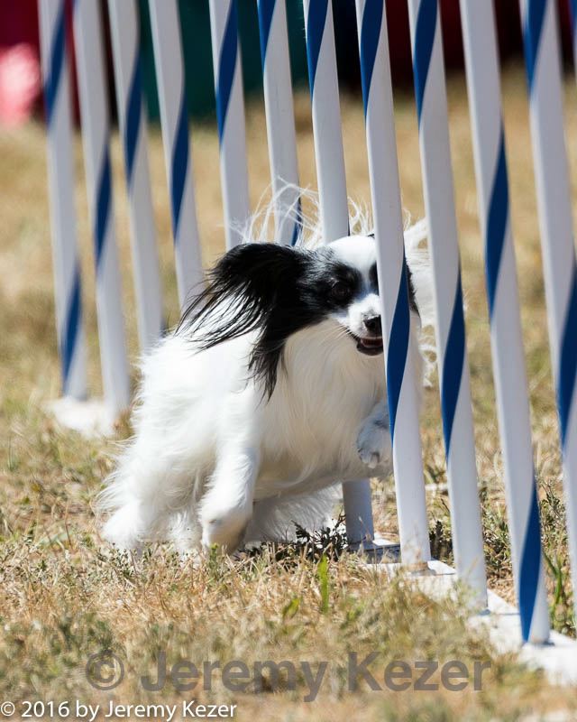 20160618-cckc-2007.jpg