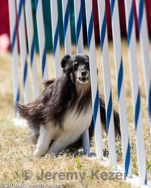 20160618-cckc-2037.jpg