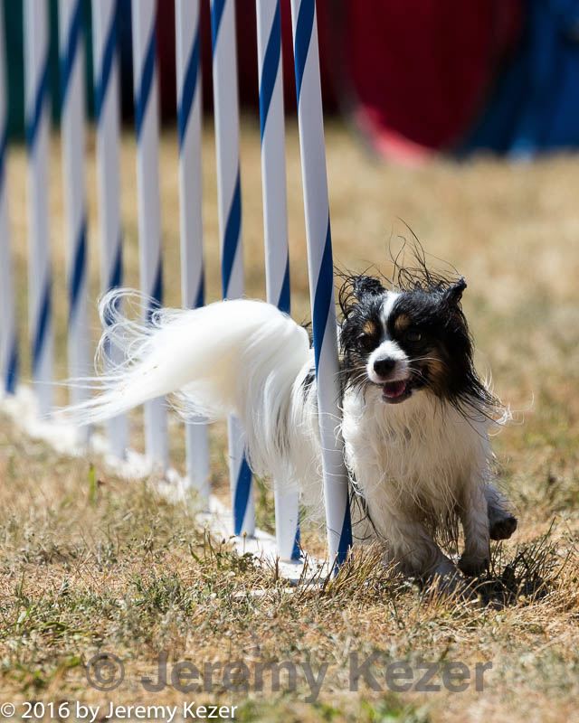 20160618-cckc-2066.jpg