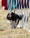 20160618-cckc-1835