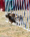 20160618-cckc-1844