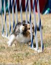 20160618-cckc-1848
