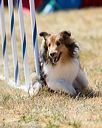 20160618-cckc-1854