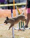20160618-cckc-1858