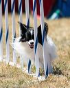 20160618-cckc-1866