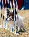 20160618-cckc-1876