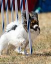 20160618-cckc-1879