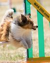 20160618-cckc-1884