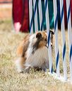 20160618-cckc-1890