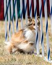 20160618-cckc-1894
