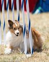 20160618-cckc-1897