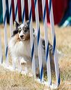 20160618-cckc-1909