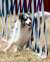 20160618-cckc-1924