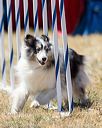 20160618-cckc-1925