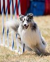 20160618-cckc-1927