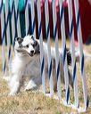 20160618-cckc-1951