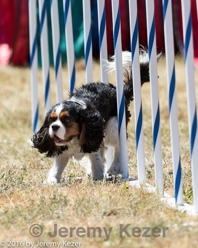 20160618-cckc-1834.jpg