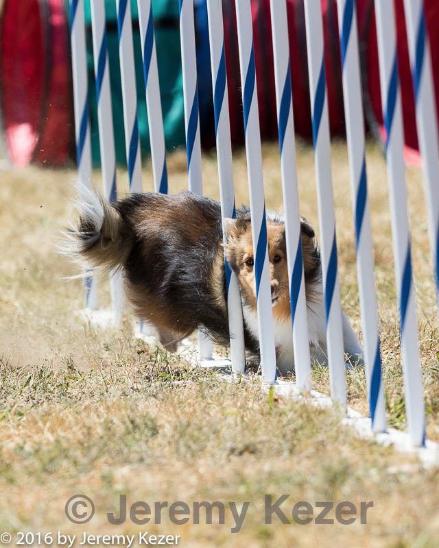 20160618-cckc-1844.jpg