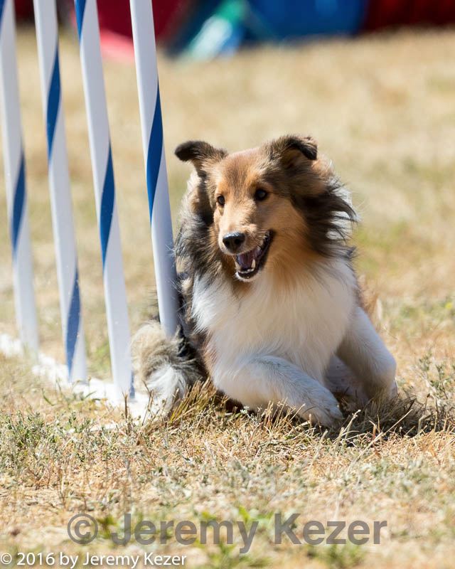 20160618-cckc-1854.jpg