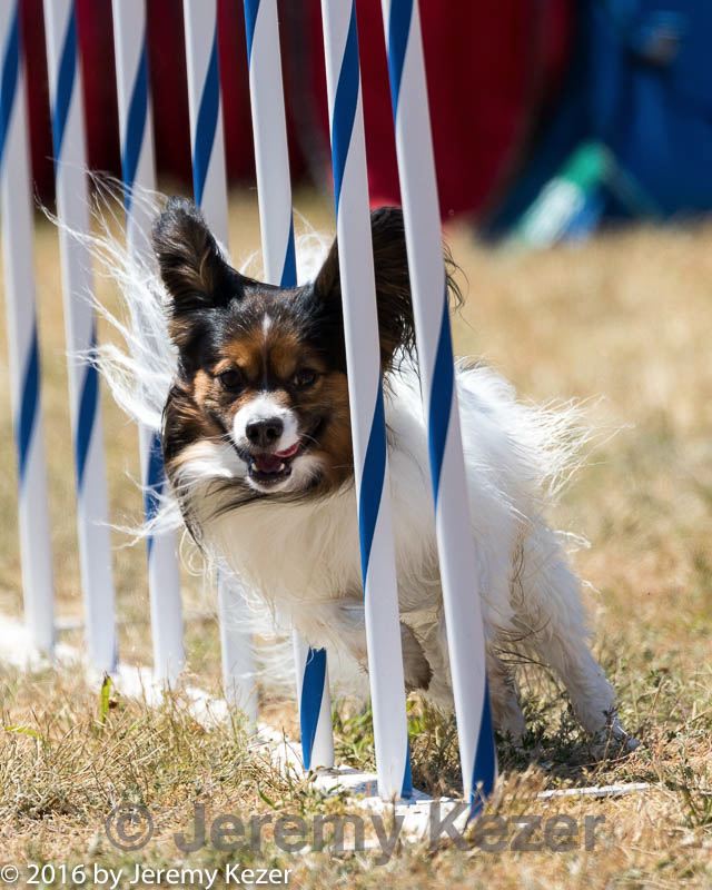 20160618-cckc-1876.jpg