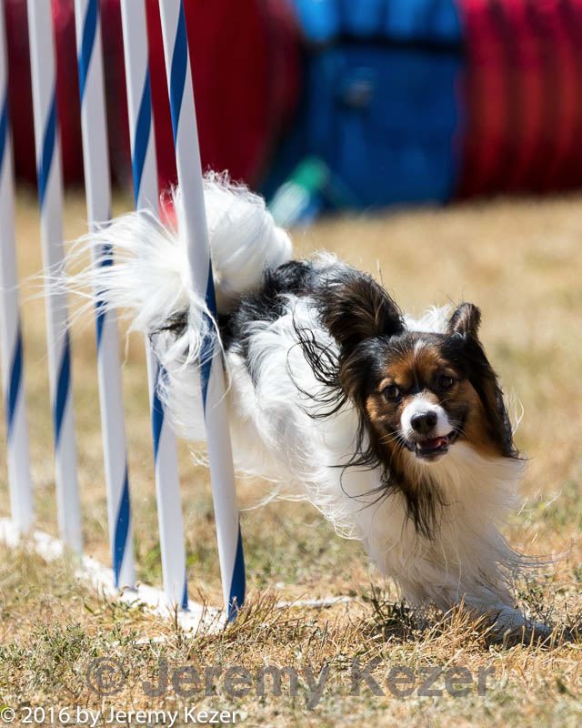 20160618-cckc-1881.jpg