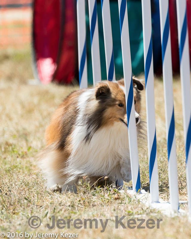 20160618-cckc-1890.jpg