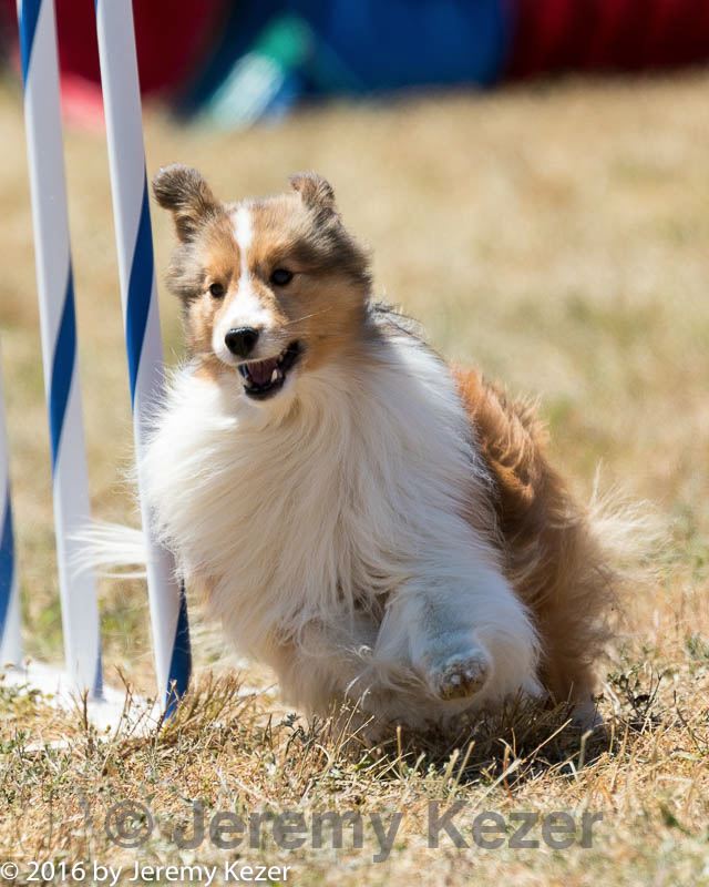 20160618-cckc-1901.jpg