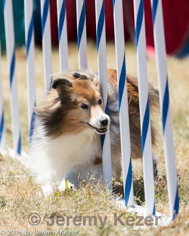 20160618-cckc-1937.jpg
