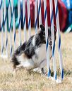 20160618-cckc-1683