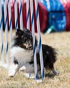 20160618-cckc-1686