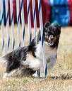 20160618-cckc-1688