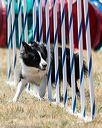 20160618-cckc-1694