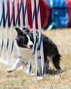 20160618-cckc-1699