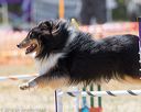 20160618-cckc-1707