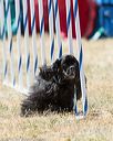 20160618-cckc-1726