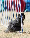 20160618-cckc-1727