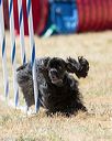 20160618-cckc-1729