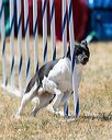 20160618-cckc-1736